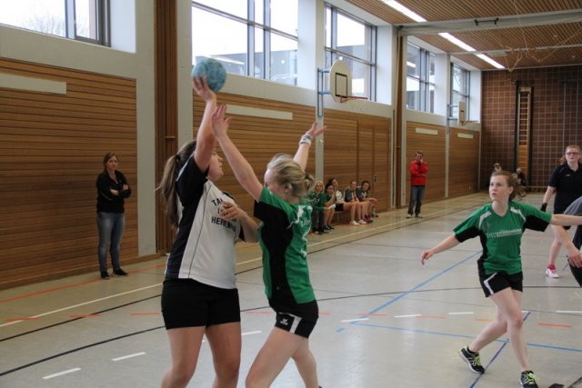 2017_02_19 Landesliga Frauen und Jugend 19
